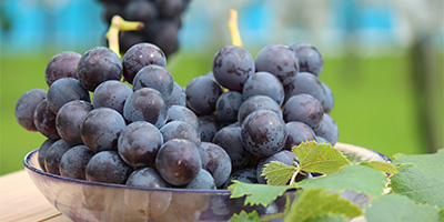 ぶどう