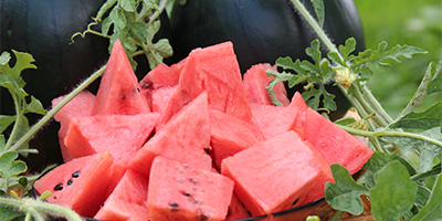 スイカ