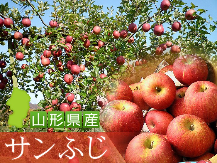 山形県産サンふじ